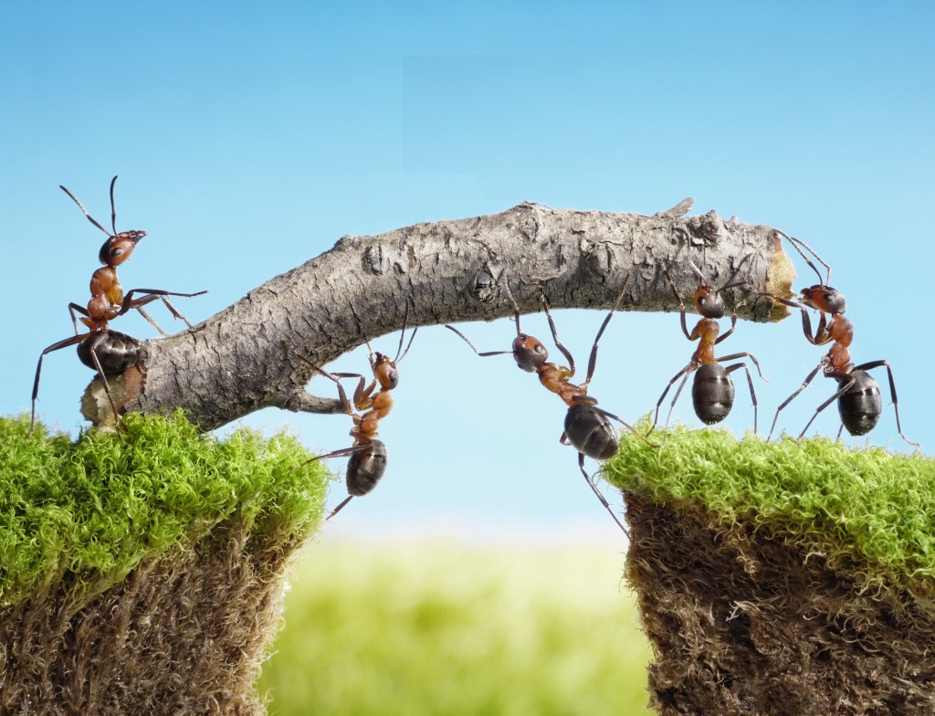 Antworks Community helps people working together to make a better future for people and the environment